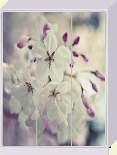 ШК_38 ФОТОДРУК